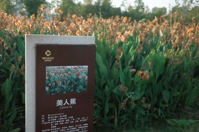 东方明珠”？初秋带娃往高处去！新葡京娱乐城长沙人有自己的“(图11)