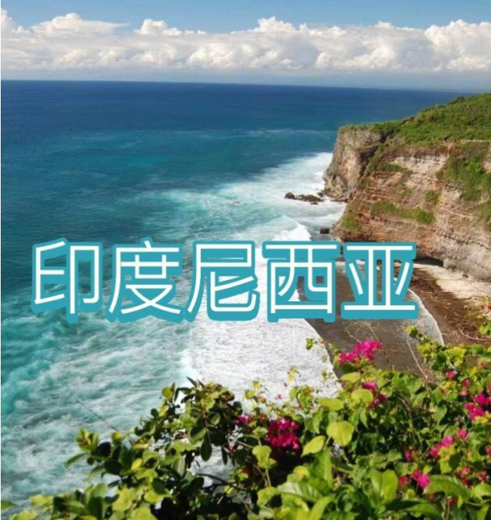 际电商(印尼)产业博览会澳门新葡京202